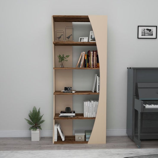 Book Shelf/Storage