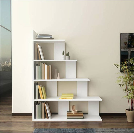 Book Shelf/Storage